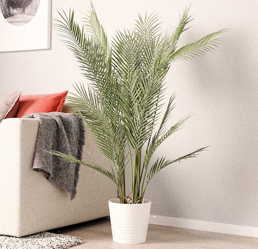 Producto PLANTA IKEA 