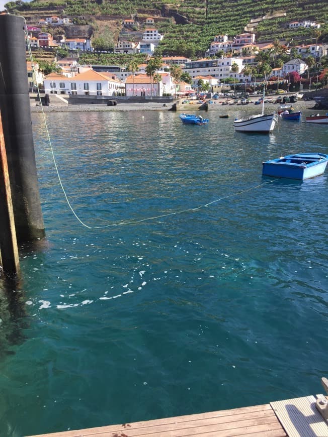 Lugar Câmara De Lobos