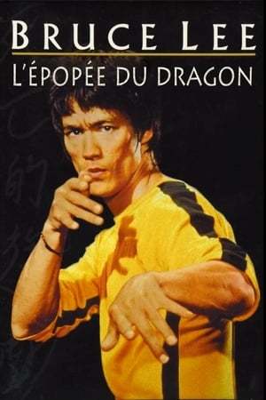 Película Bruce Lee: A Warrior's Journey