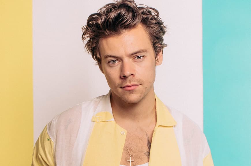 Moda Harry Styles