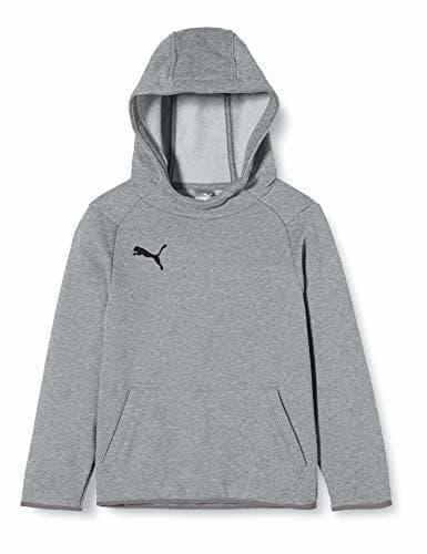 Producto Puma Liga Casuals Hoody Jr Sweatshirt, Unisex niños, Gris