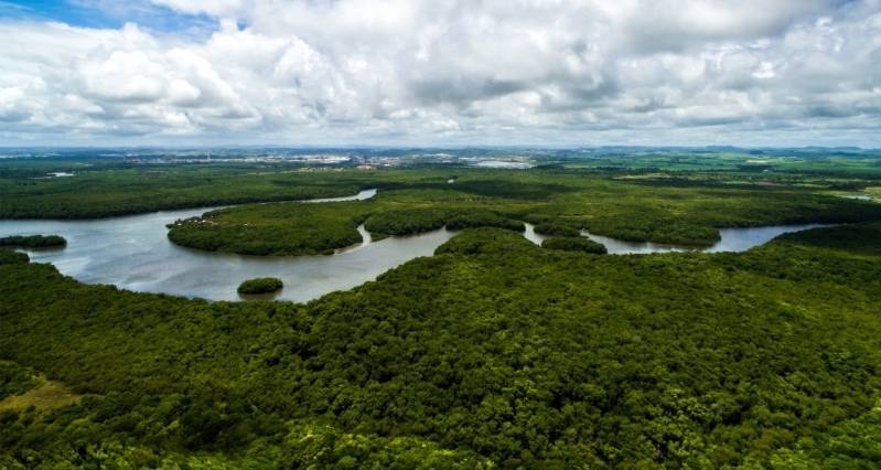 Lugar Amazonia