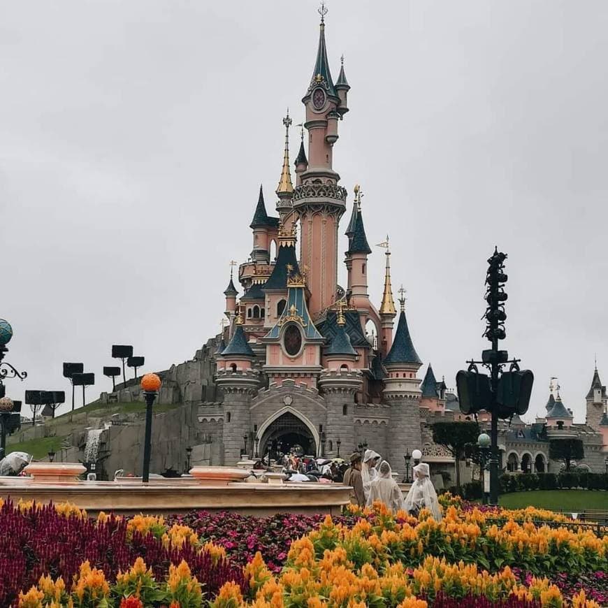 Lugar Disneyland Paris 