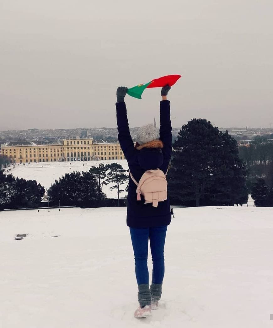 Lugar Schönbrunn Palace