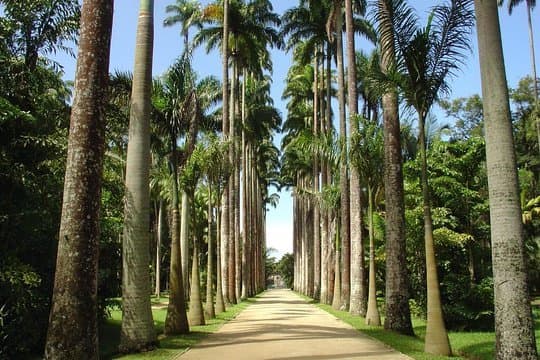 Place Jardim Botânico