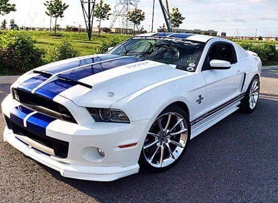 Fashion Mustang 😍