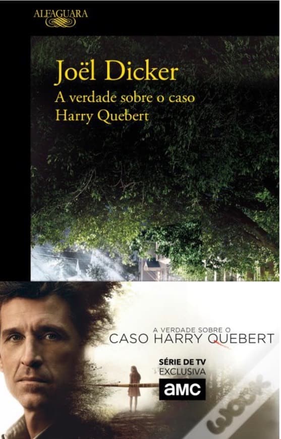 Book A Verdade sobre o Caso Harry Quebert