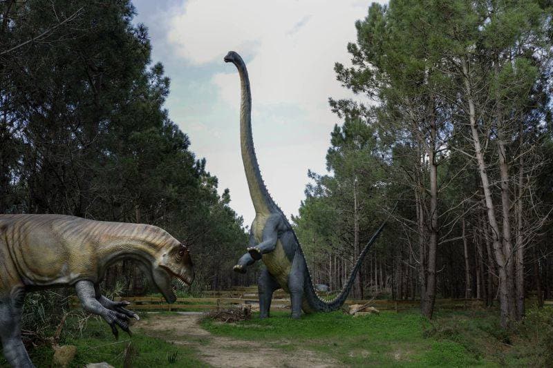 Place Dino Parque Lourinhã