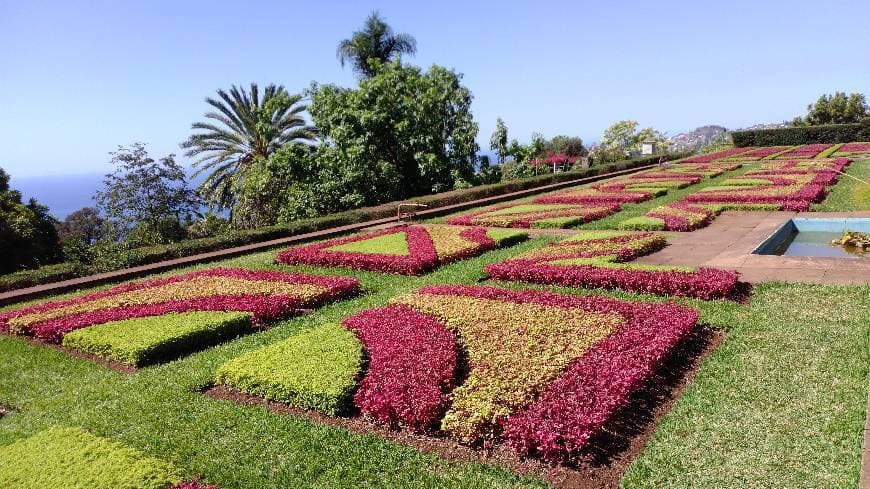 Place Jardín Botánico de Madeira