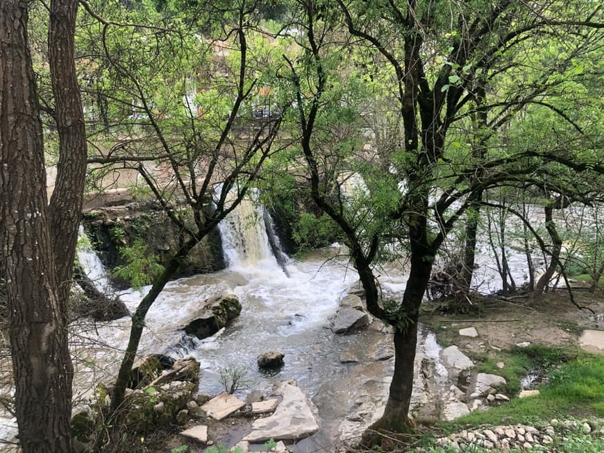 Lugar Cascata do rio Lis