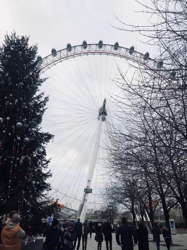 Place London Eye