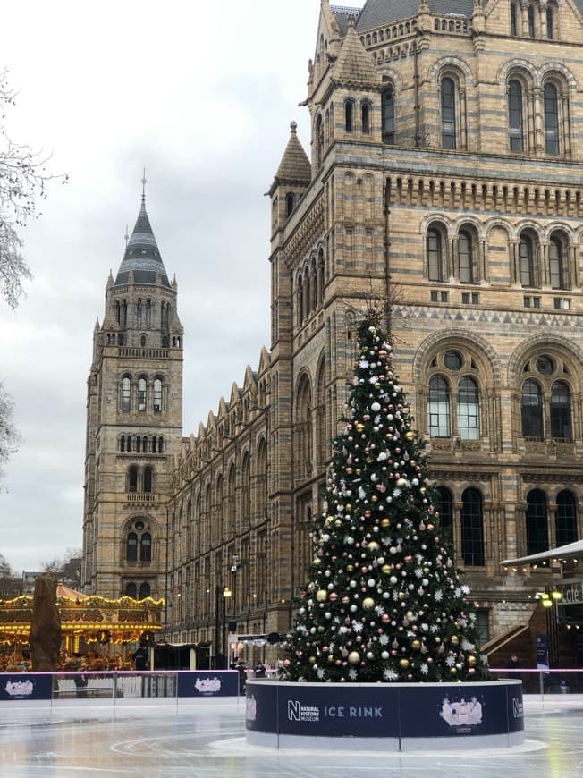 Place Natural History Museum