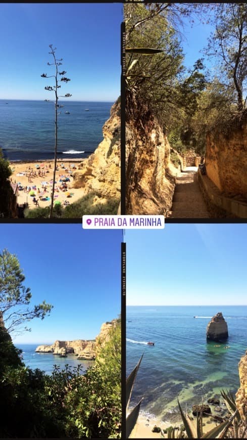 Lugar Praia da Marinha