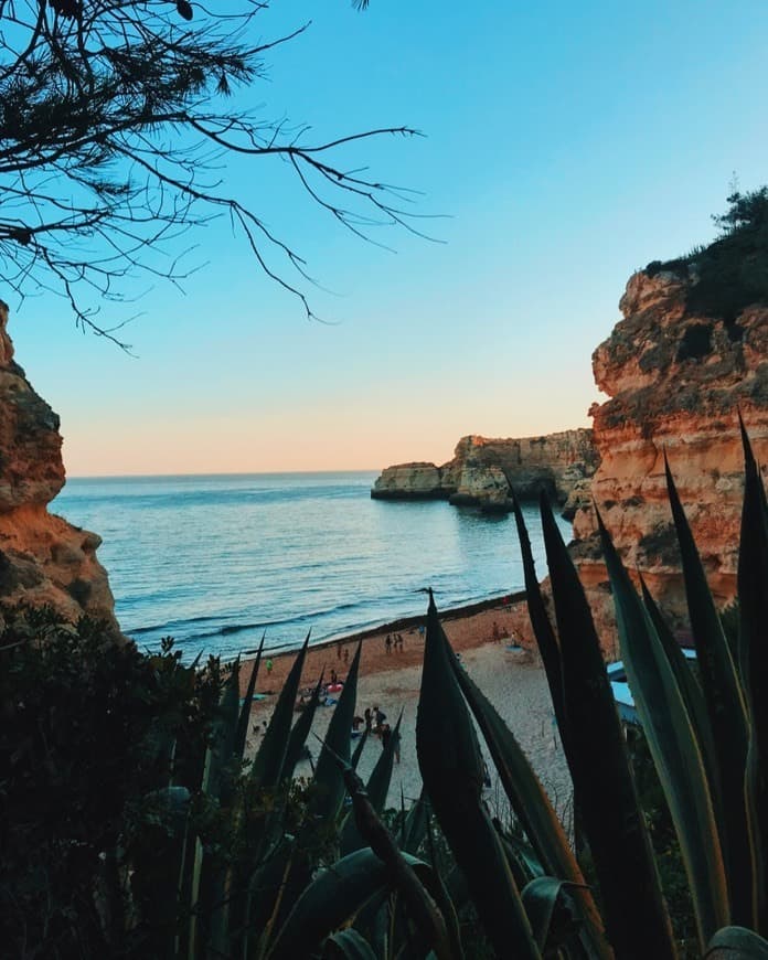 Lugar Praia da Coelha