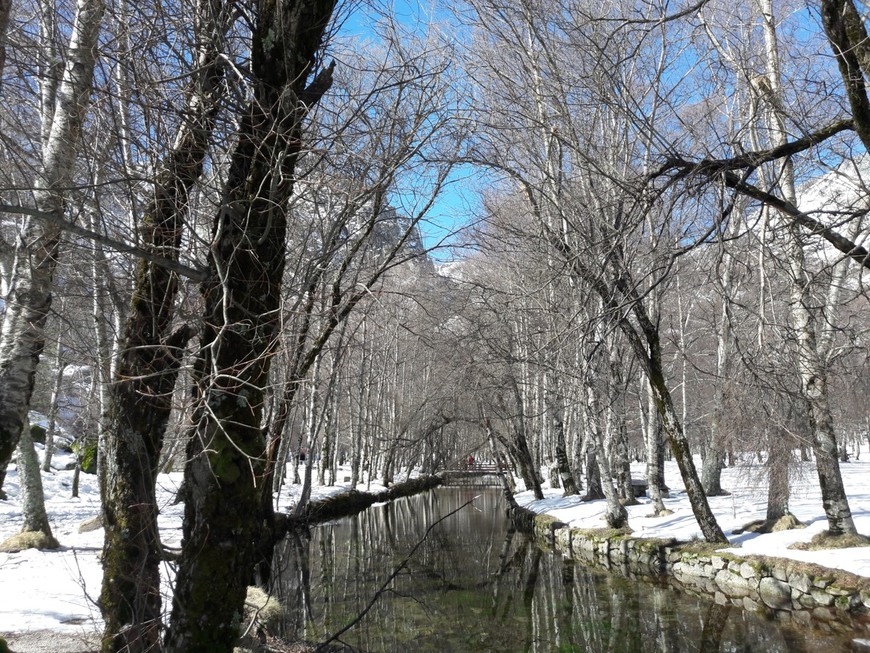 Lugar Serra da Estrela