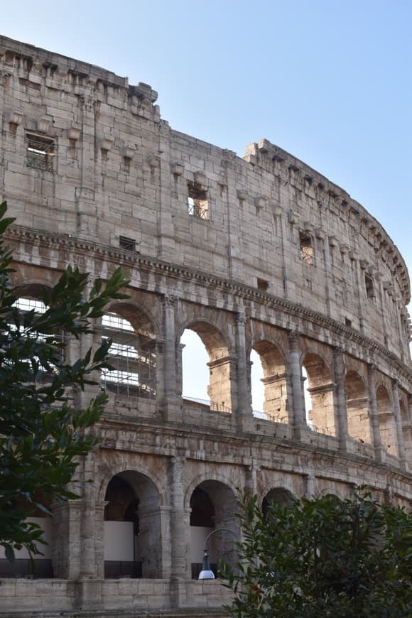 Lugar Coliseo de Roma