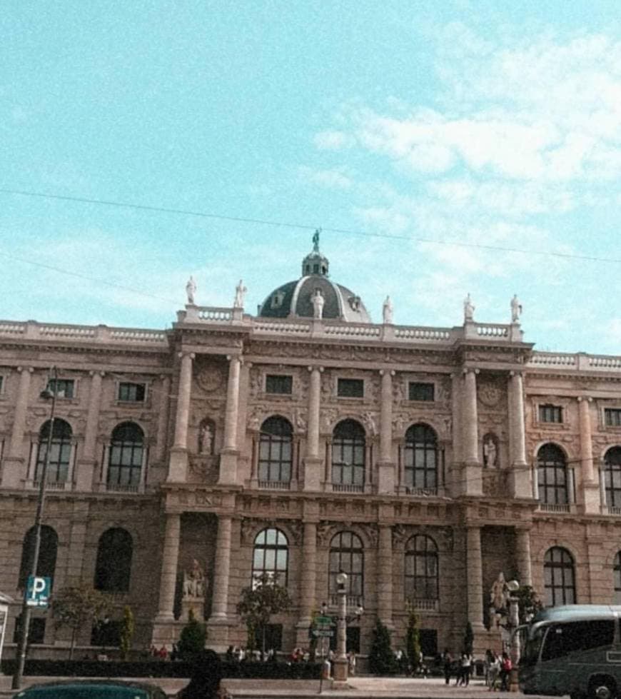 Place Museo de Historia Natural de Viena