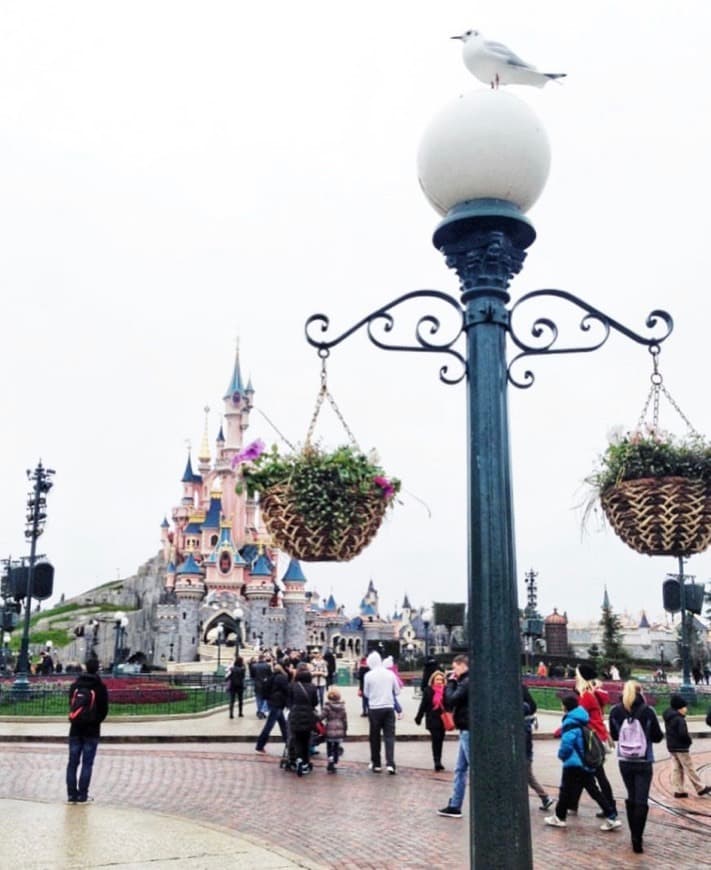 Lugar Disneyland Paris Castle