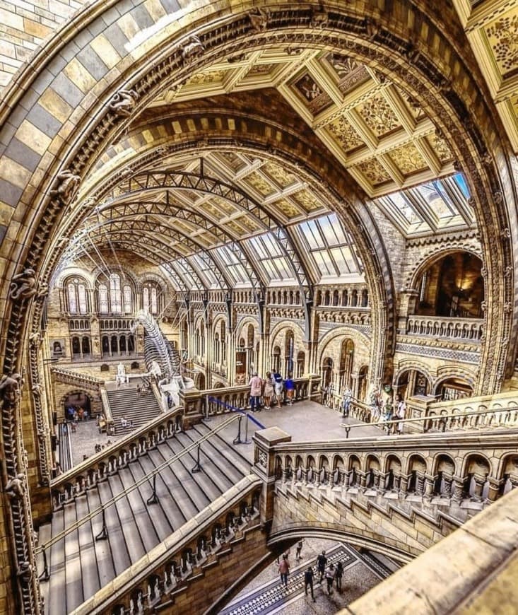 Lugar Museu de História Natural de Londres