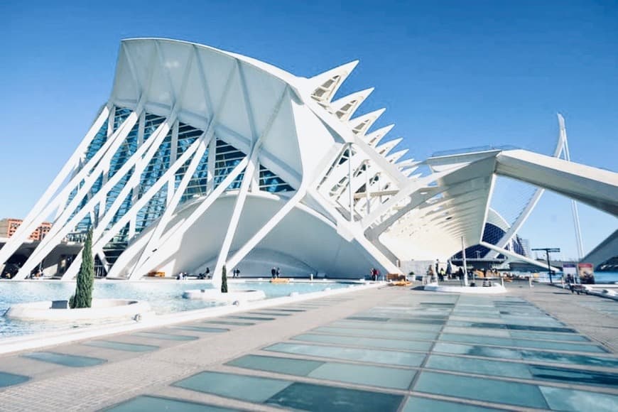 Lugar Museu das Ciências Príncipe Felipe