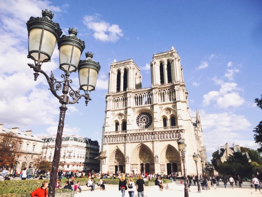 Lugar Catedral de Notre-Dame de Paris