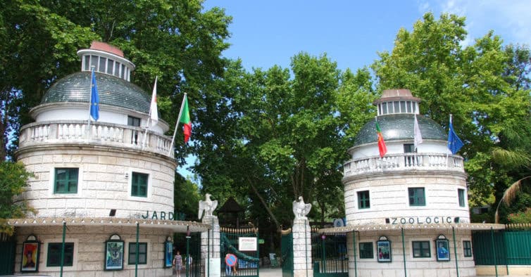 Lugar Jardim Zoológico 