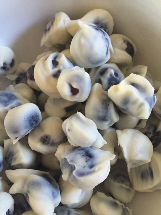 Moda Healthy Frozen Yogurt Covered Blueberries 