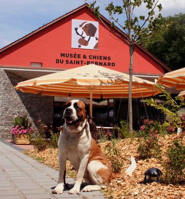 Lugar Barryland - Musée et Chiens du Saint Bernard