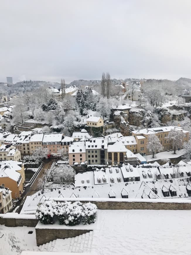 Place Luxemburgo