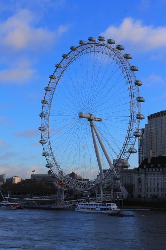 Place London Eye