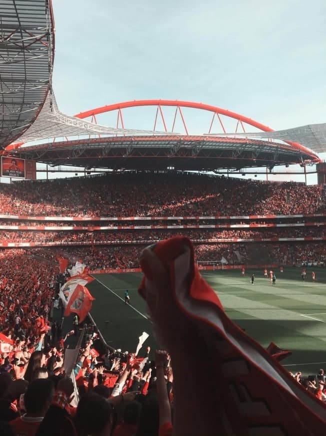 Fashion Estádio da Luz