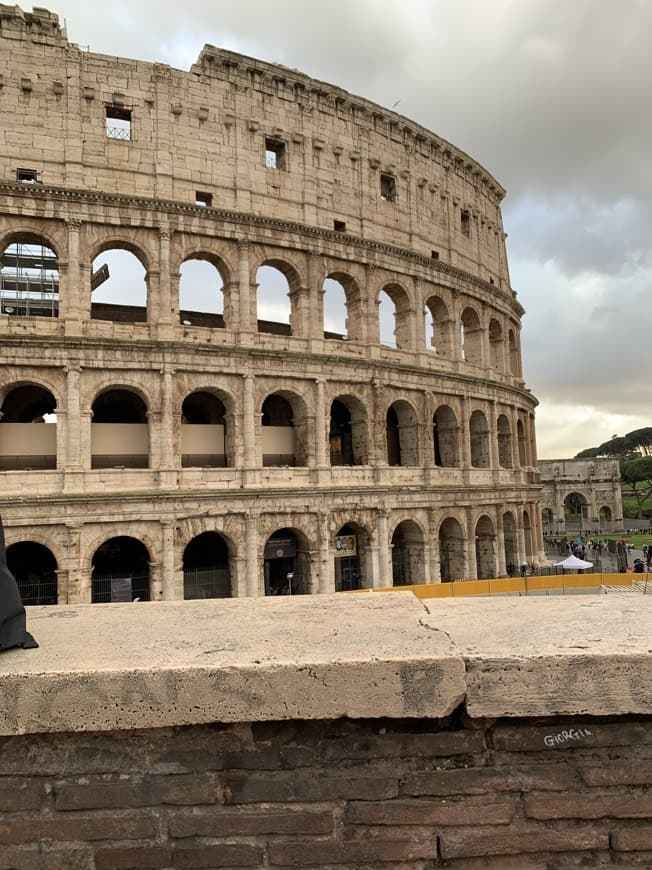 Lugar Coliseo de Roma