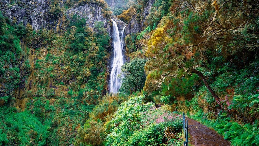 Lugar Rabaçal- levada 