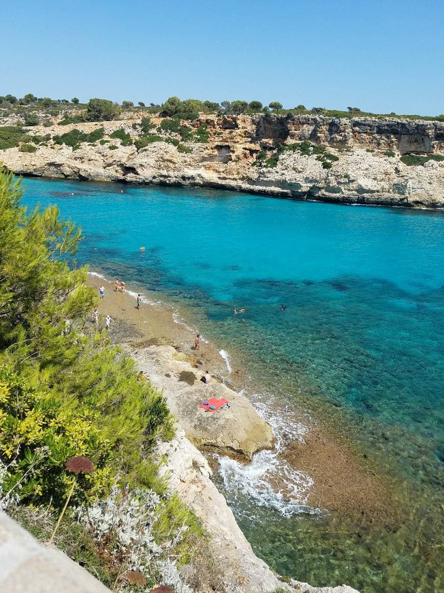 Place Calas de Mallorca