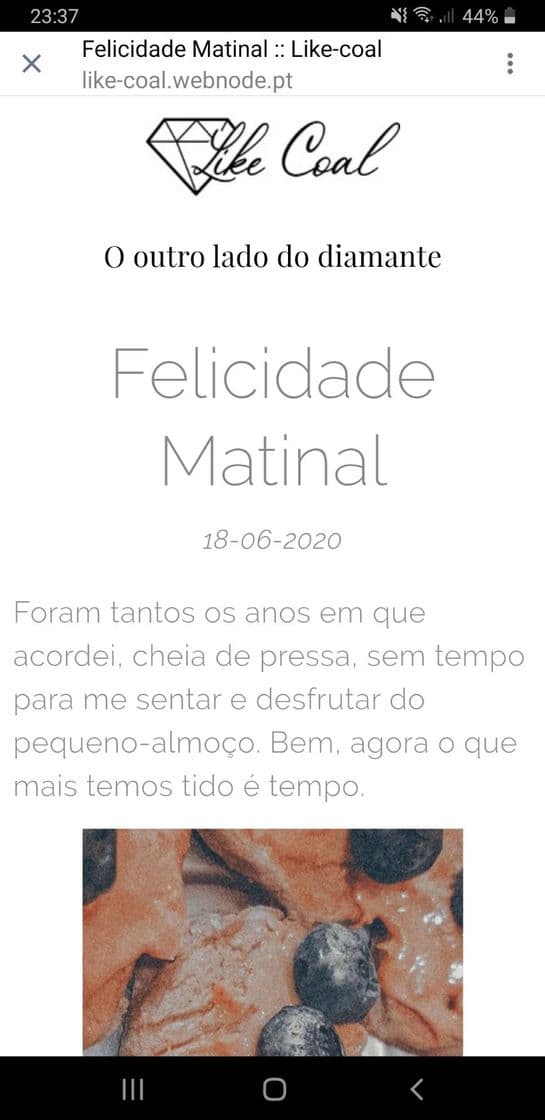 Moda Felicidade Matinal