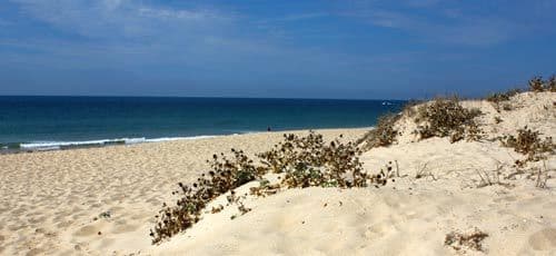 Lugar Praia de Faro