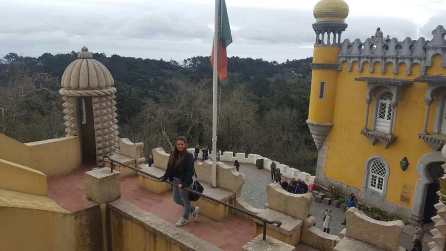 Lugar Palacio da Pena