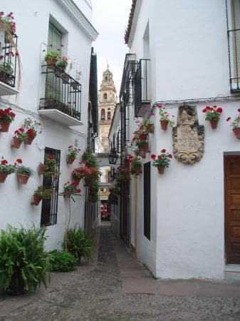 Place Calleja de las Flores