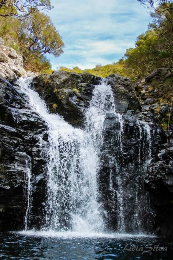 Place Levada do Alecrim