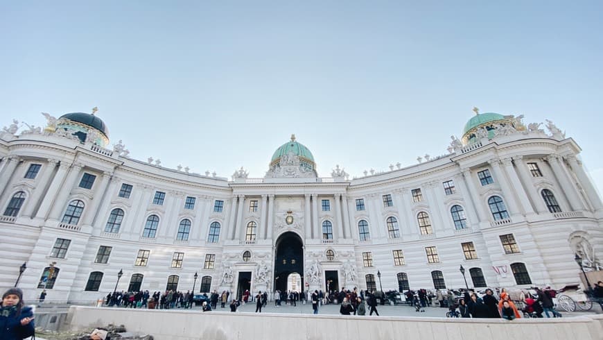 Lugar Hofburg Palace