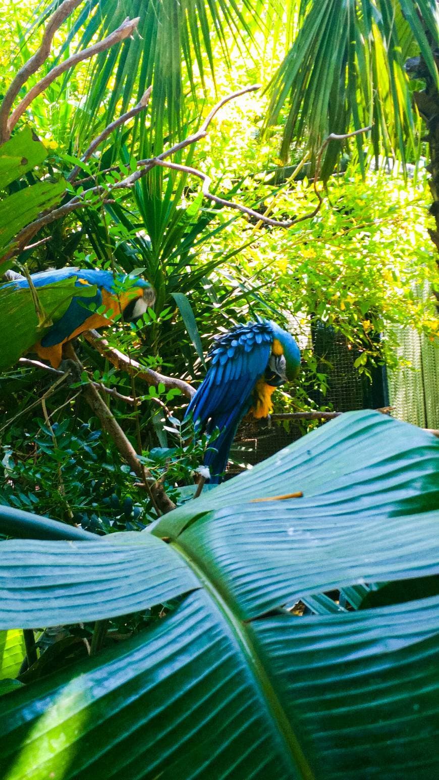 Lugar Zoomarine - Um Mar de Diversão - Parque Temático e Aquático de ...