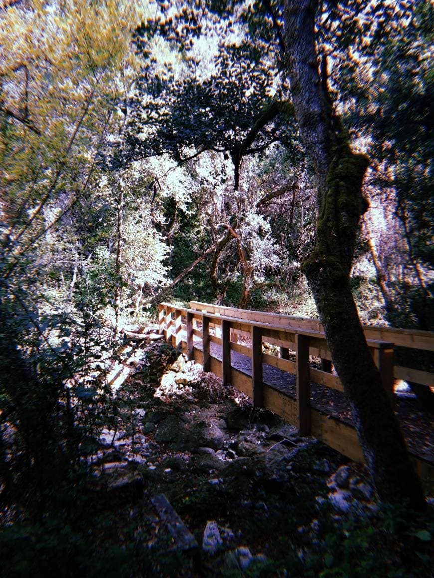 Place Cascata Rio de Mouros