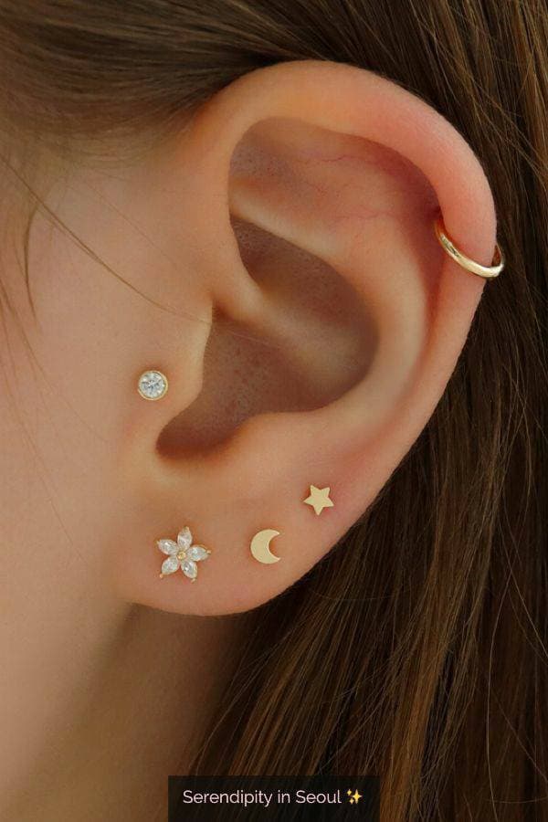 Fashion Piercings