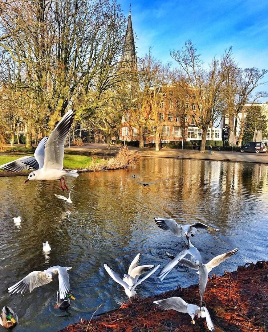 Restaurants Vondelpark