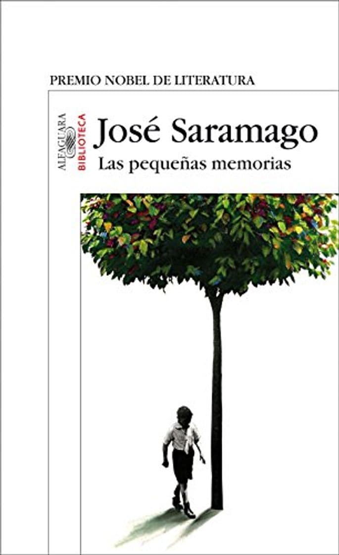 Book Las pequeñas memorias