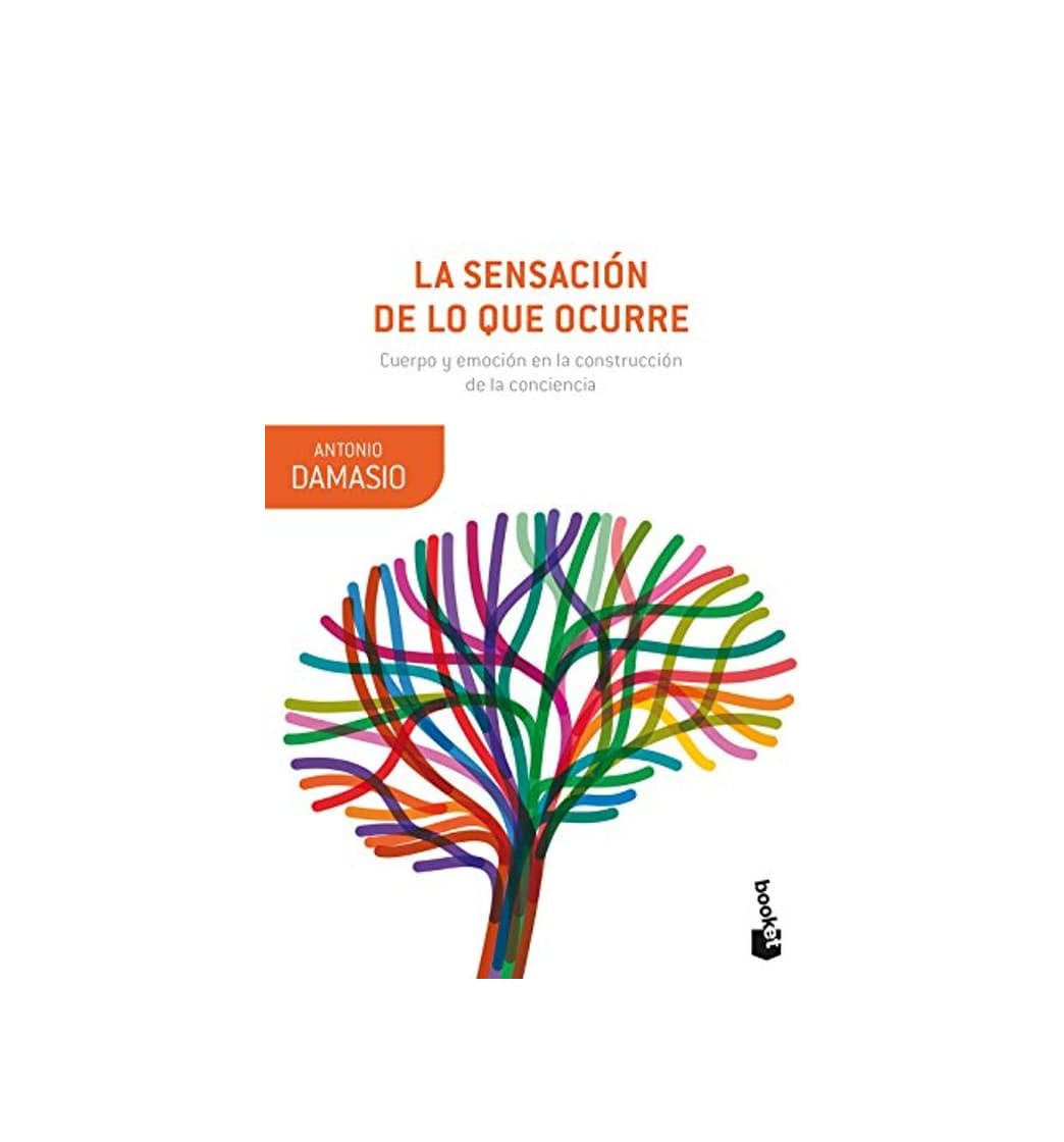 Book La sensación de lo que ocurre: Cuerpo y emoción en la construcción