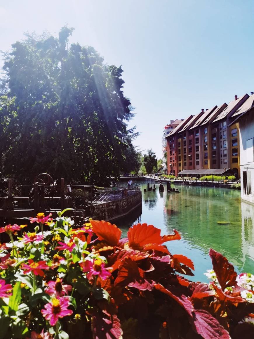 Place Annecy Old Town