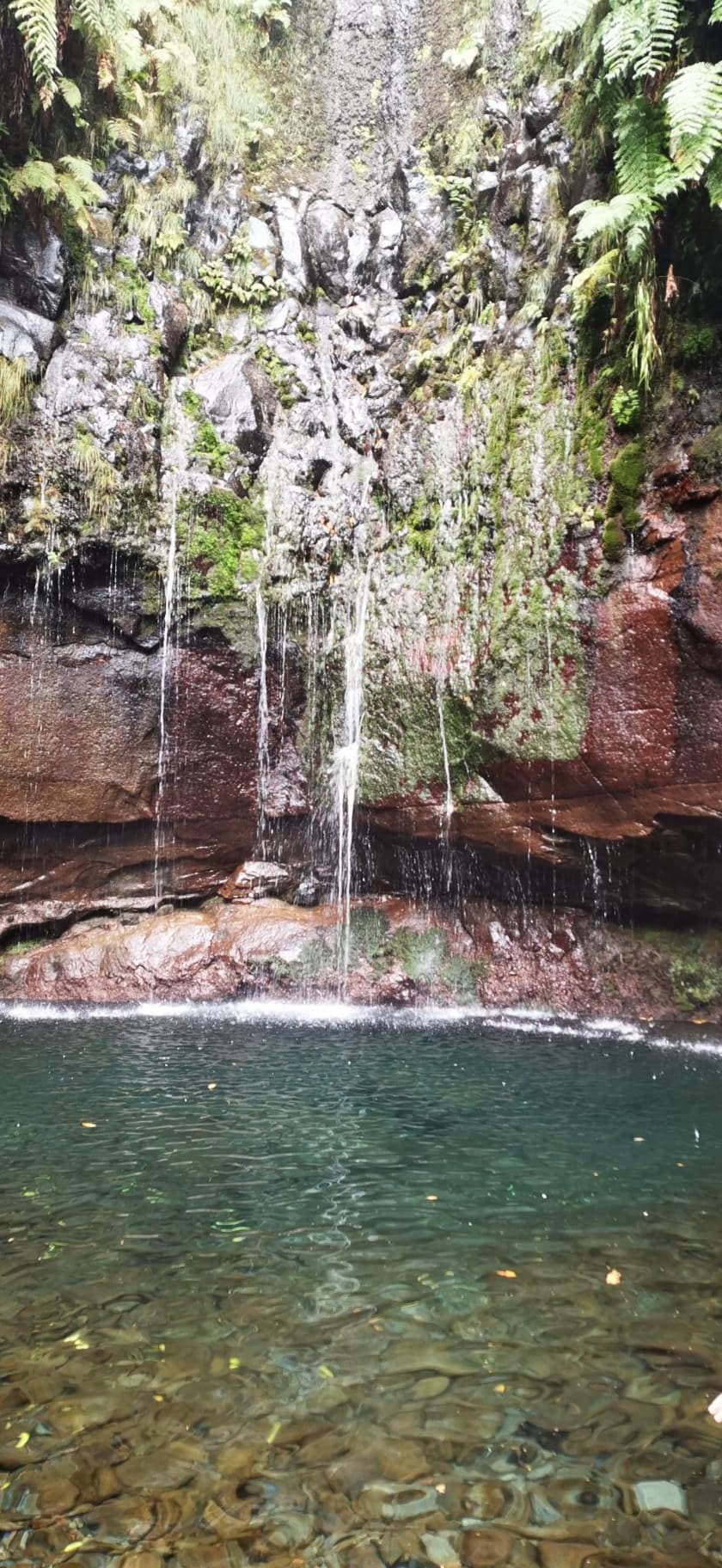 Lugar Calheta - Levada of 25 Fontes and Risk