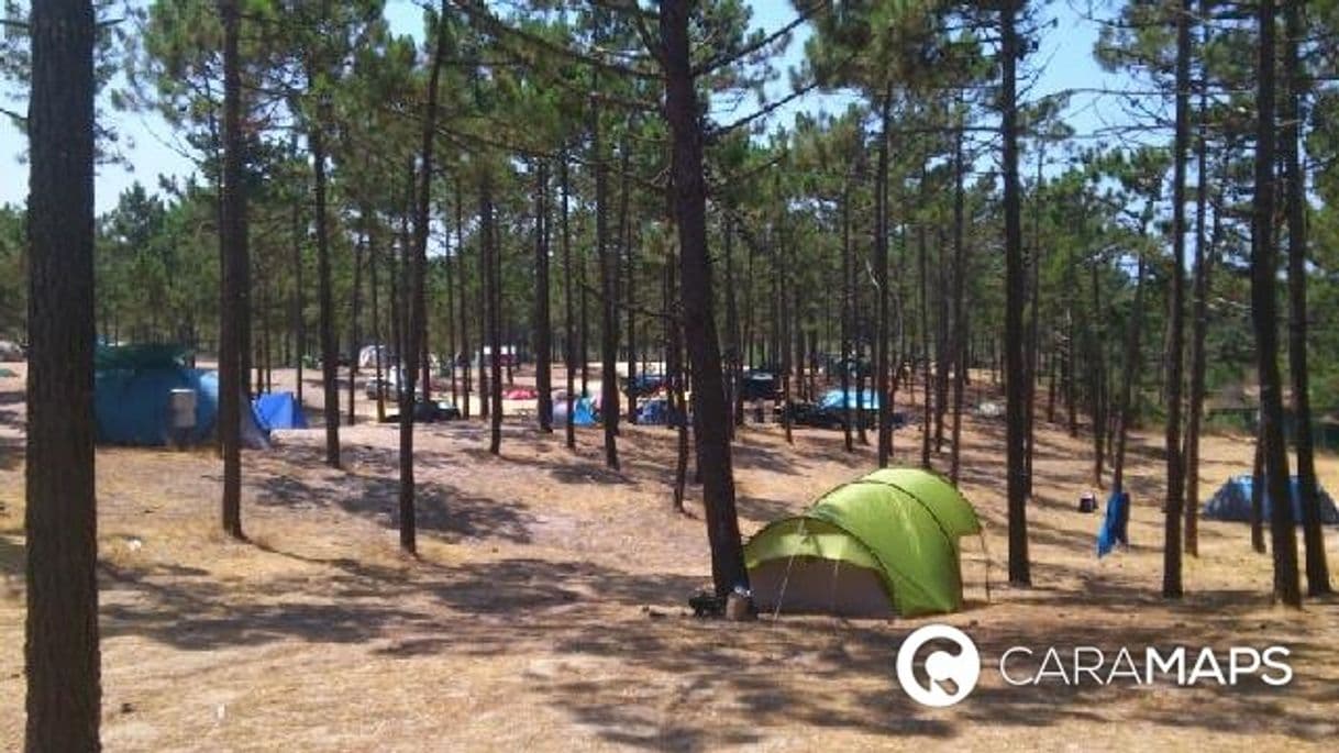 Lugar Camping Praia da Galé