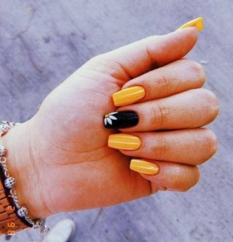 Fashion Unhas de gel